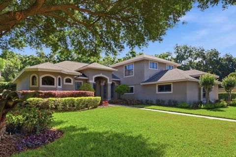 Photo of 5902 Hammock Woods Drive, Odessa, FL 33556 (MLS # TB8496750)
