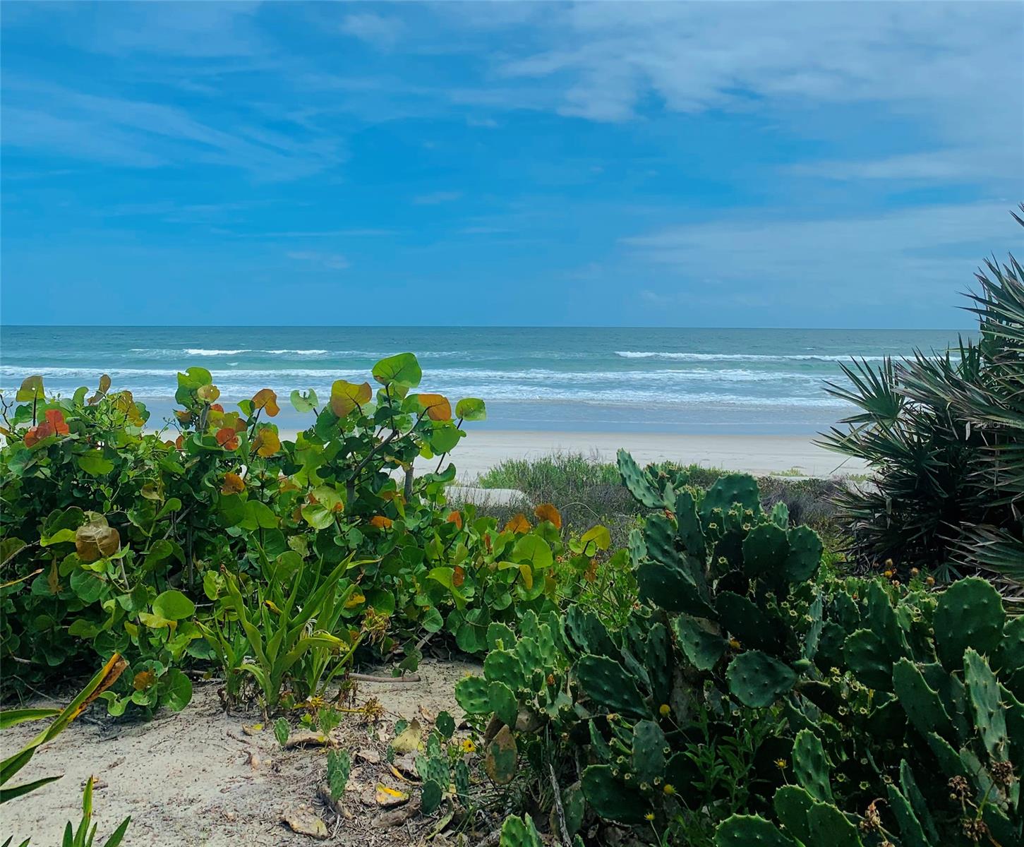 Towers At Ponce Inlet Tower 07 Condo - Residential