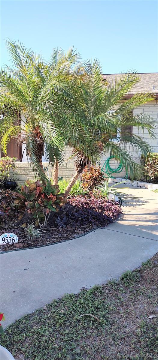 EASTFIELD SLOPES A CONDO - Residential