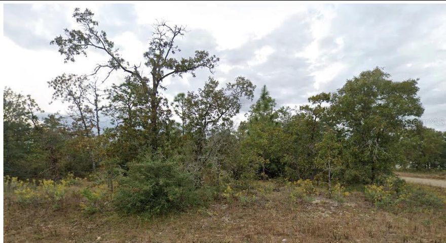 Situated on a corner lot in the growing community of Sunny Hills, this residential parcel offers a great opportunity to build in a peaceful, homes-only area of Washington County. With paved road access on both Esmont and Weller Avenues, the lot provides added flexibility for future construction. Located near recreational lakes, a public golf course, and major roadways, this lot is ideal for investment or a new homesite. The seller is offering additional vacant lots in both Washington and Putnam Counties and is open to package deals at a discounted price for buyers interested in purchasing multiple properties. All information is deemed reliable but should be independently verified.