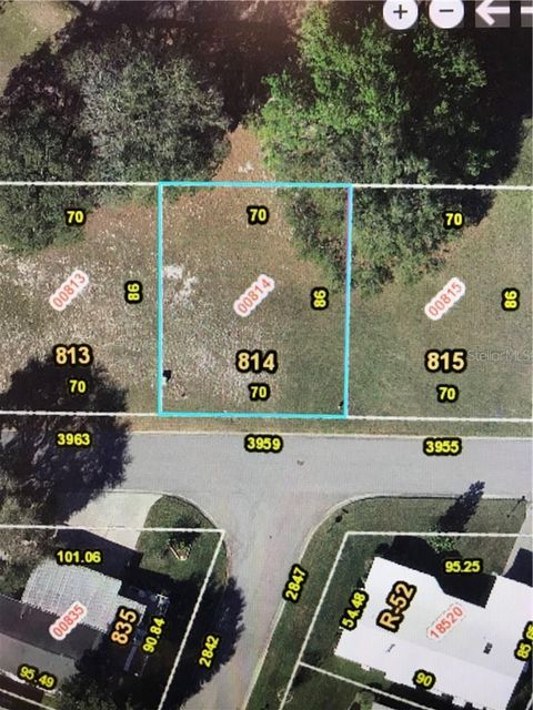 3959 GREENBLUFF ROAD 814 ZELLWOOD FL 32798