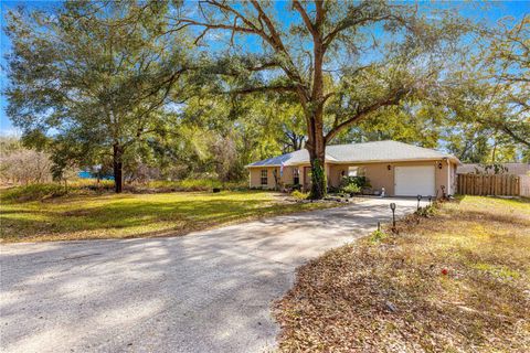 A home in BELLEVIEW