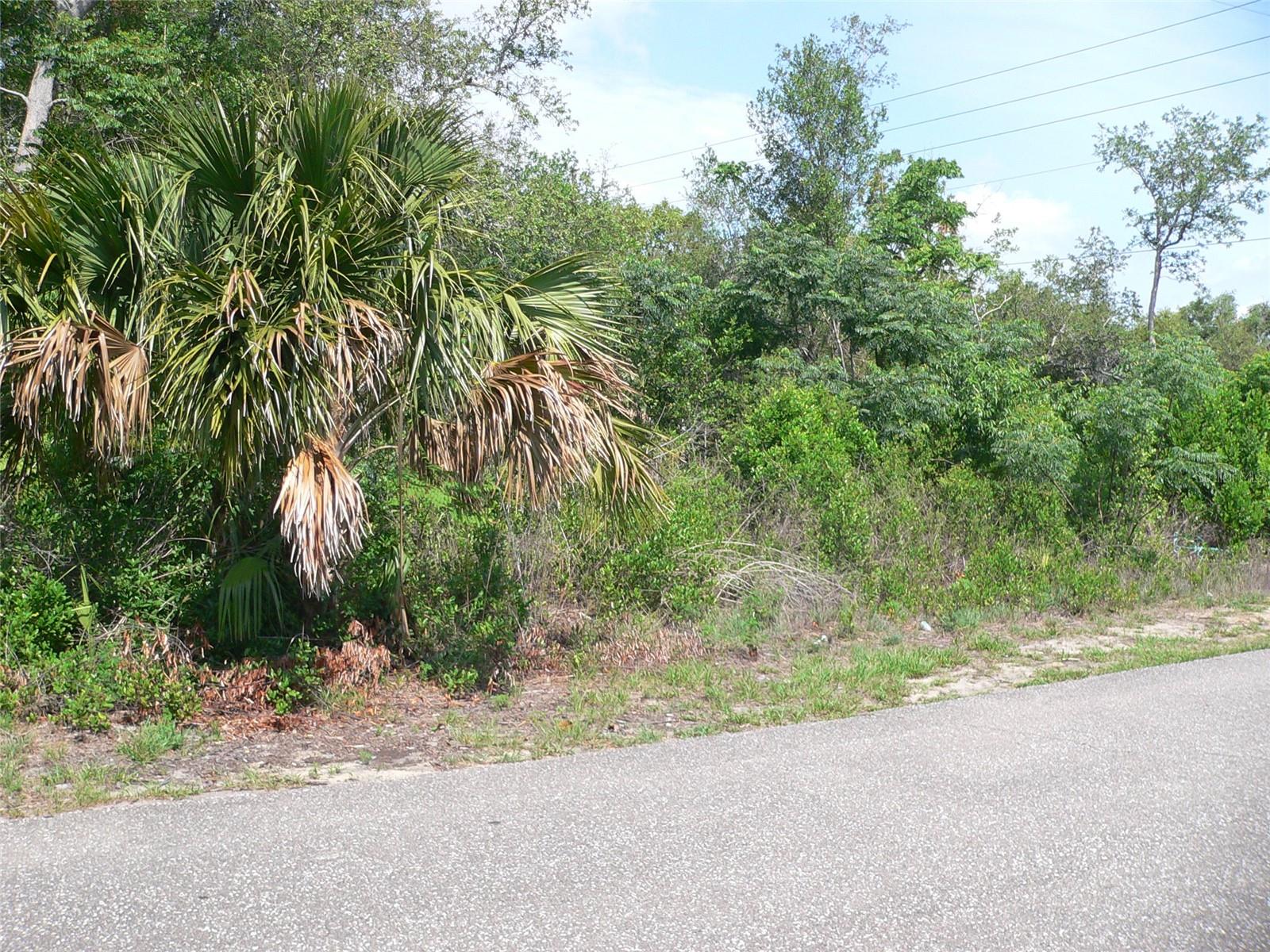 11407 LINDEN DRIVE
