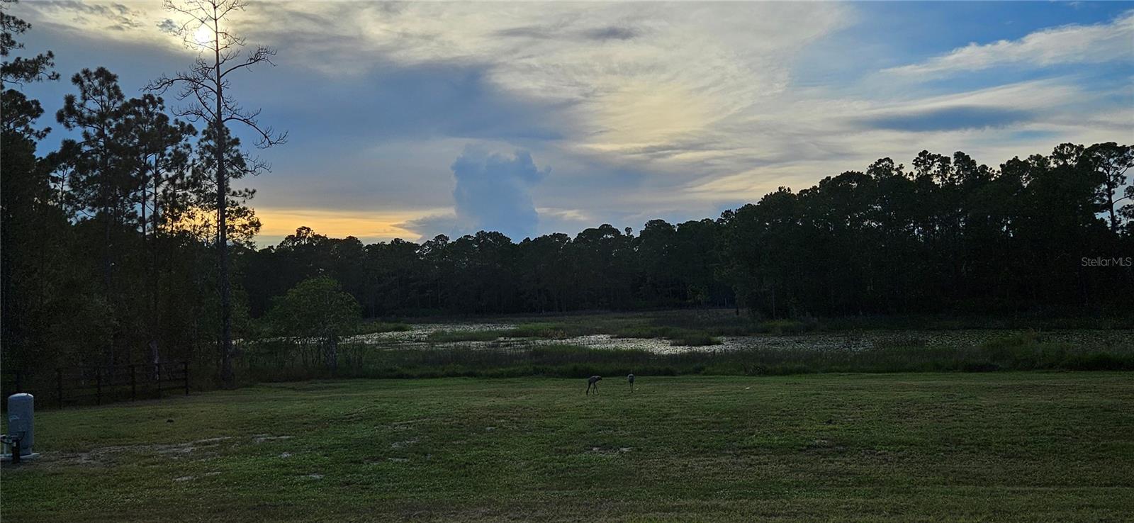 FRST LAKES & HILLS - Residential