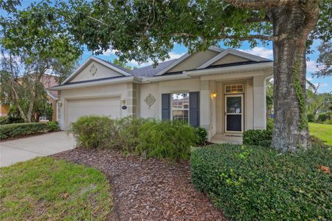 Photo of 100 Wethersfield Court, Deland, FL 32724 (MLS # O6336514)