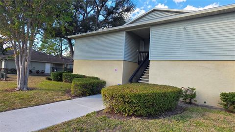 Photo of 206 Berry Tree Place #206, Brandon, FL 33510 (MLS # TB8453126)