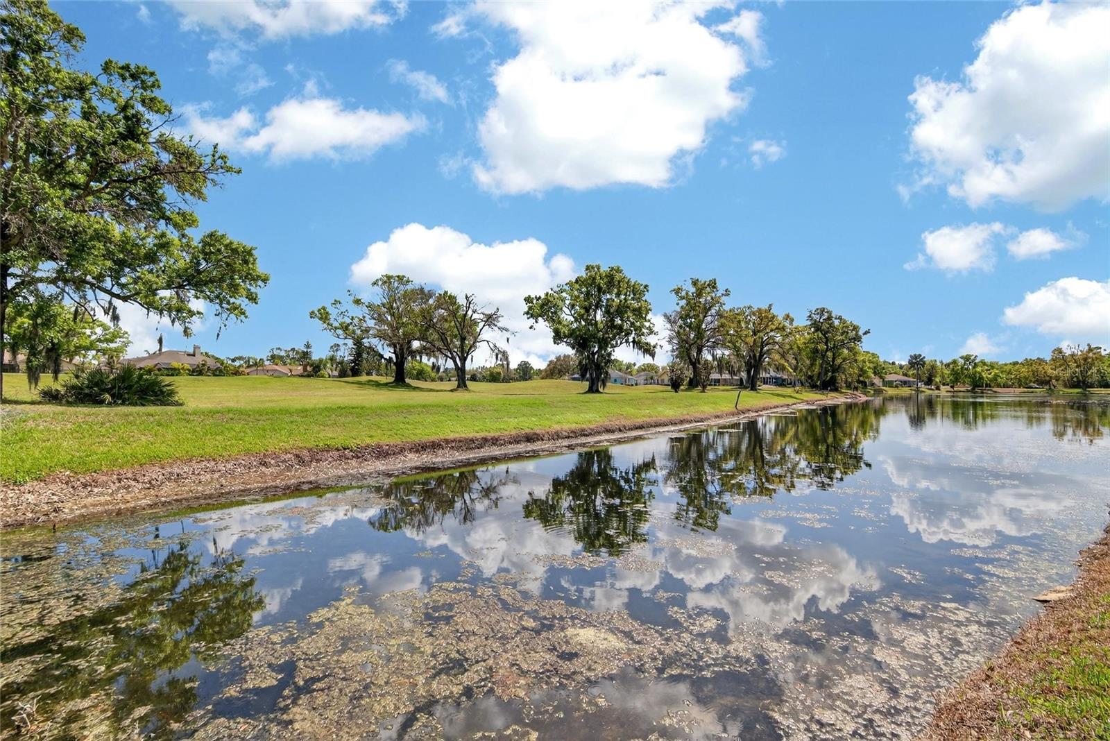 FAIRWAY PALMS A CONDO - Residential