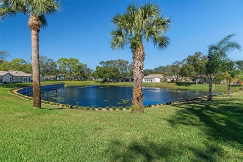 A home in WEEKI WACHEE