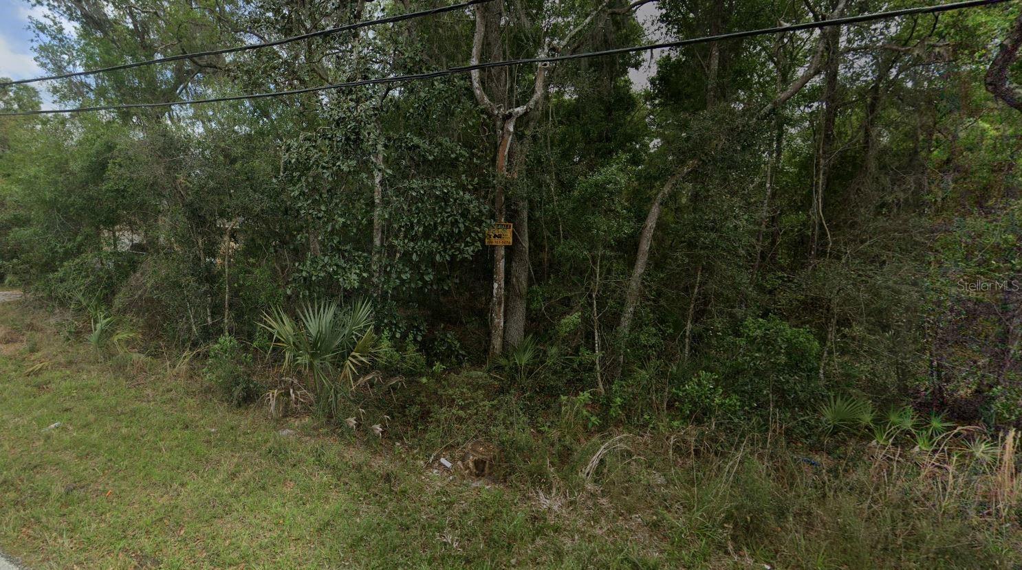 REYNOLDS ROAD