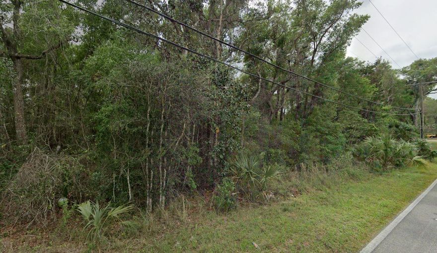 Zoned R4 Residential, vacant land lot right on PAVED Reynolds Rd for easy access to use as you please. Near by HWY 17 and only 2 miles from De Leon Springs State Park. Seller has two additional lots available for sale separately, not contiguous, but all very close to each other.