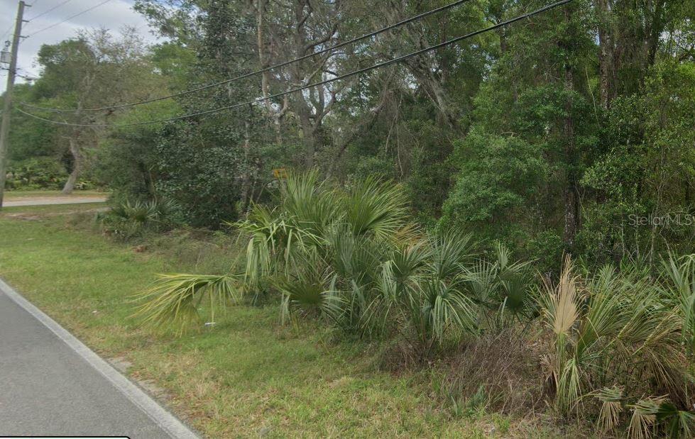 REYNOLDS ROAD