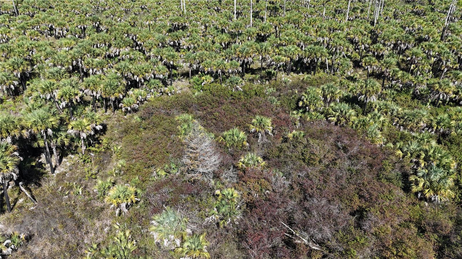 ACREAGE HEADER - Land