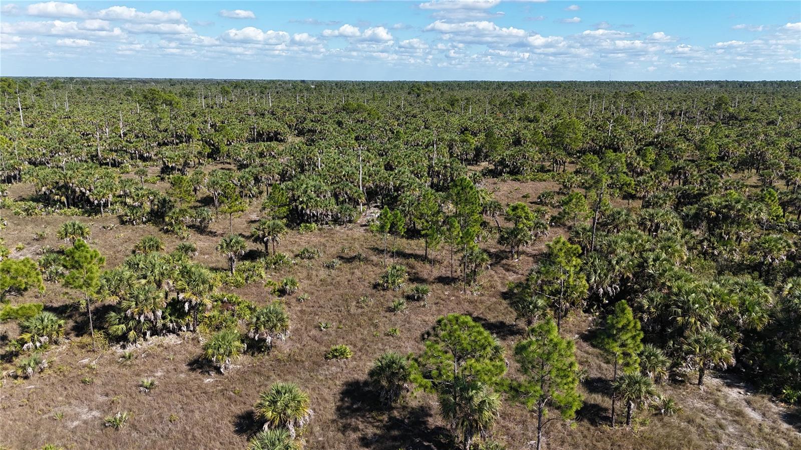 ACREAGE HEADER - Land