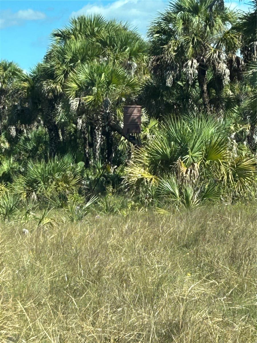 ACREAGE HEADER - Land