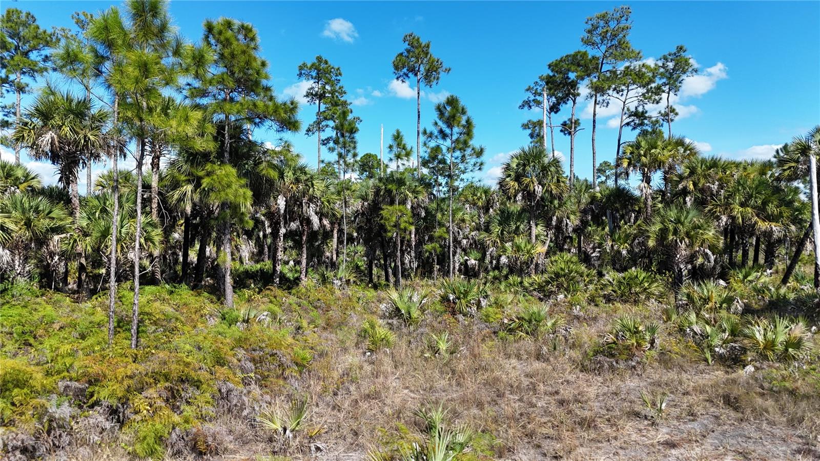 ACREAGE HEADER - Land