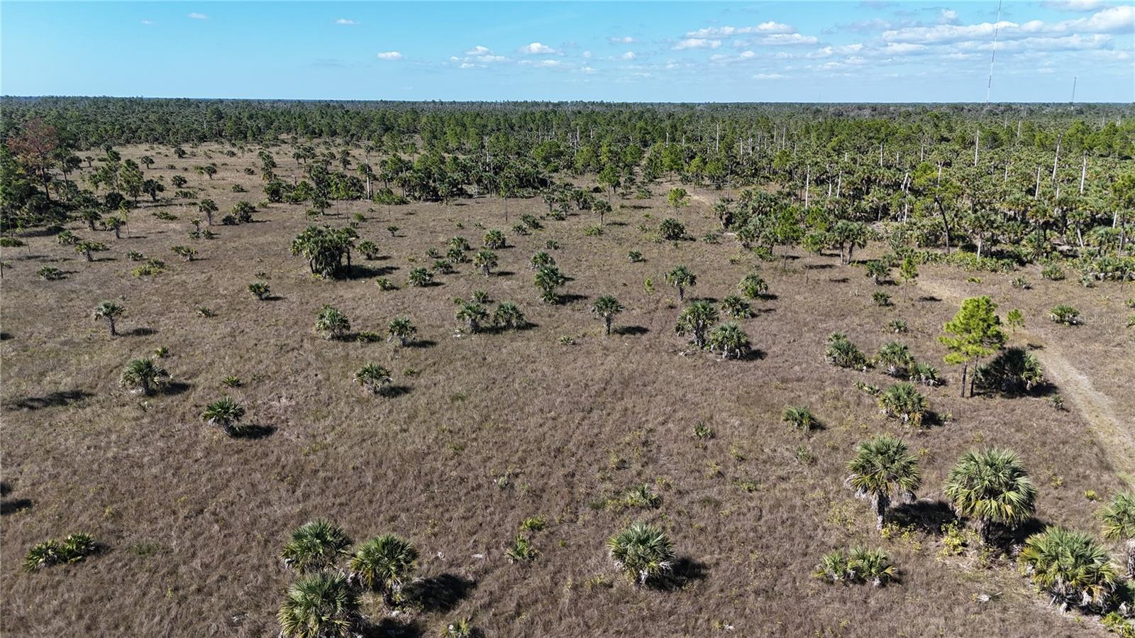 ACREAGE HEADER - Land