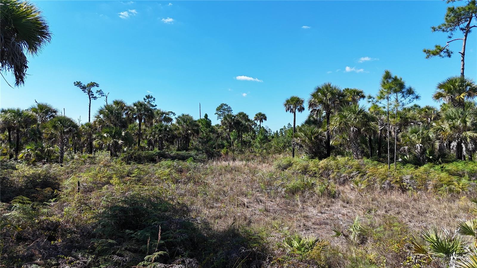 ACREAGE HEADER - Land