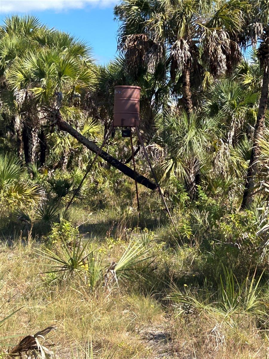 ACREAGE HEADER - Land