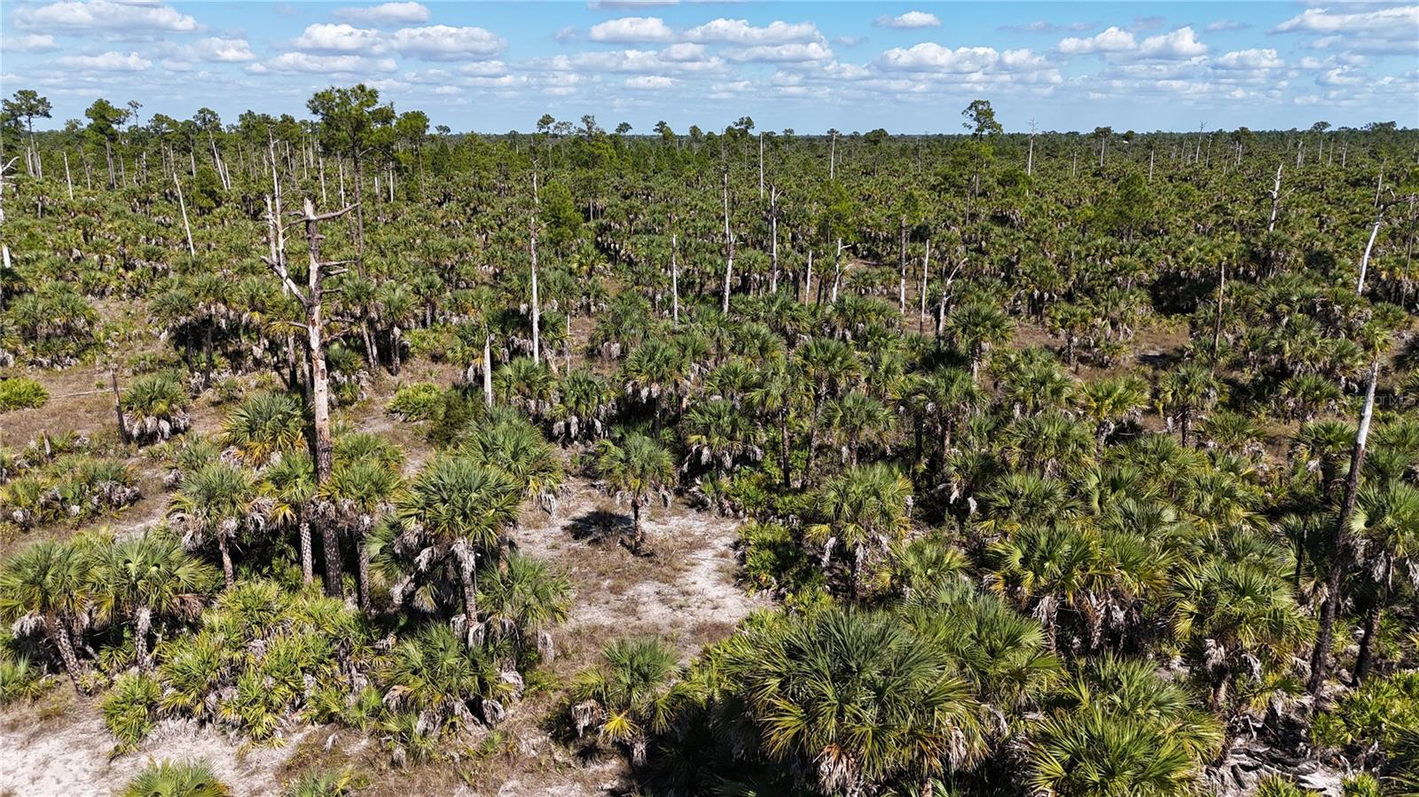 ACREAGE HEADER - Land