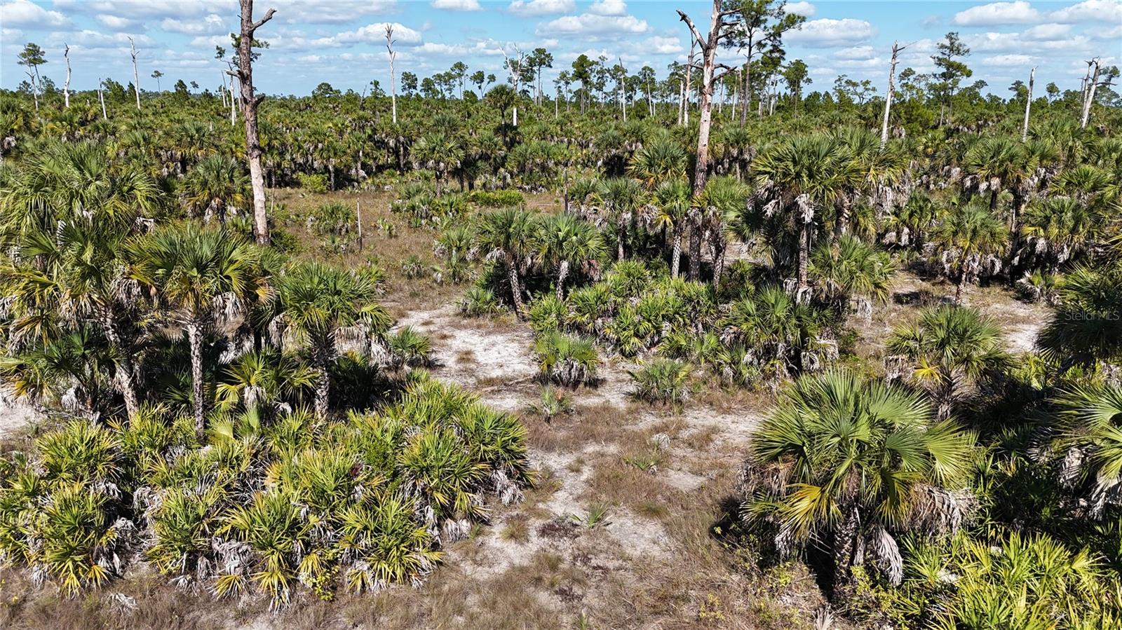 ACREAGE HEADER - Land