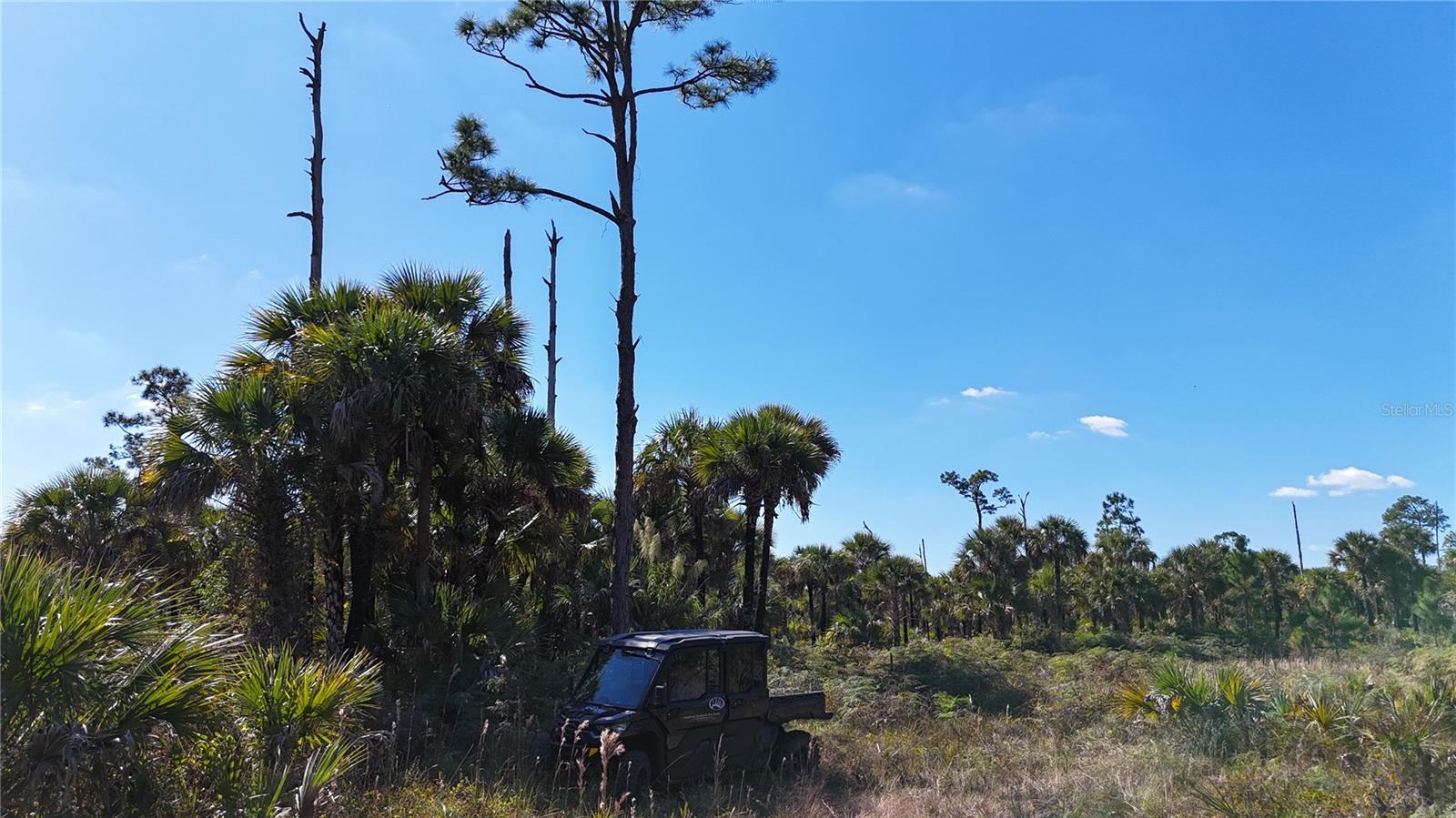 ACREAGE HEADER - Land