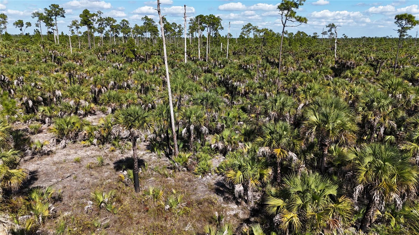 ACREAGE HEADER - Land