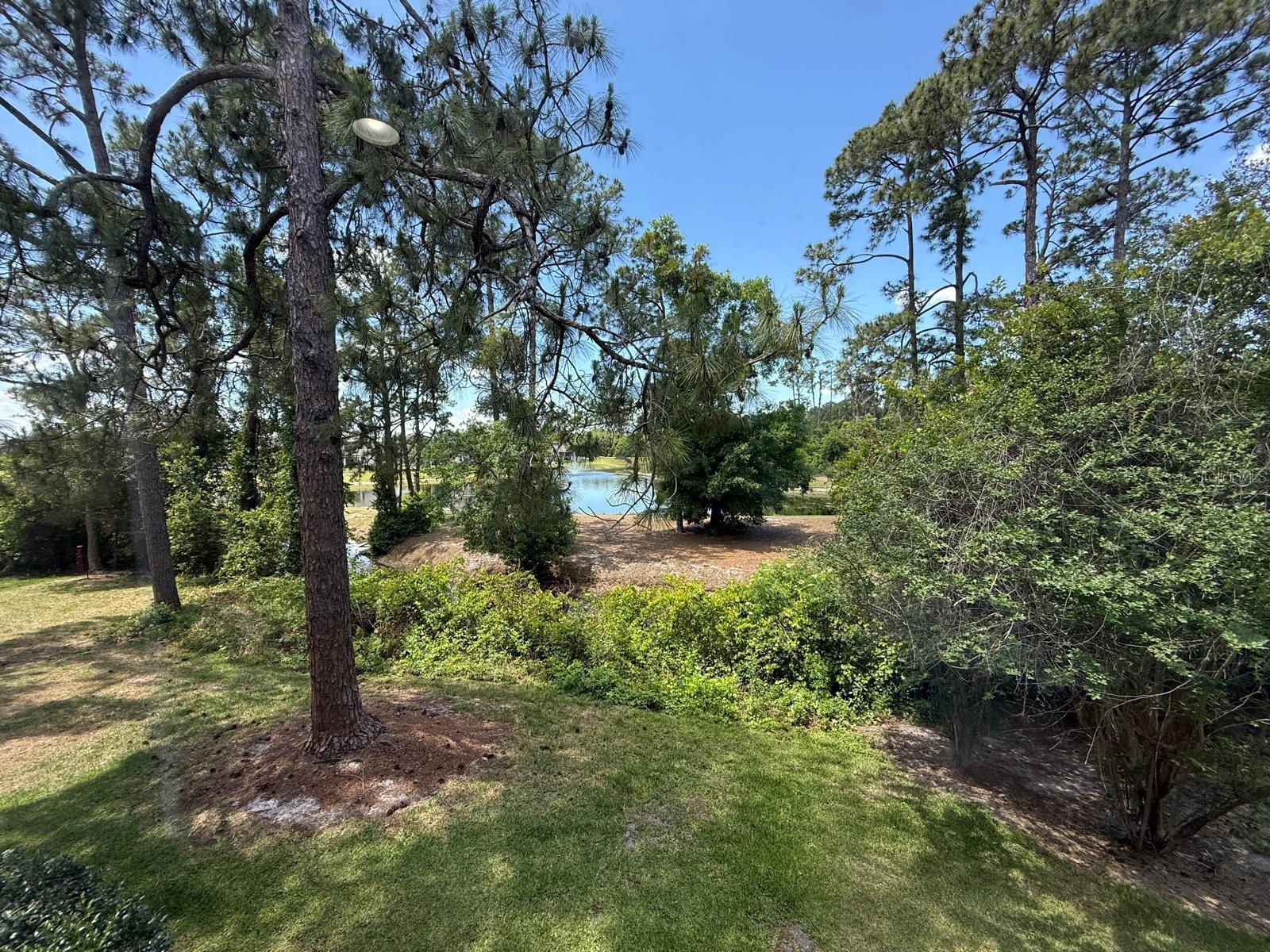 RESIDENCES/MILLENIA - Residential Lease