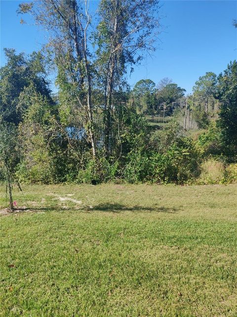 A home in DELTONA