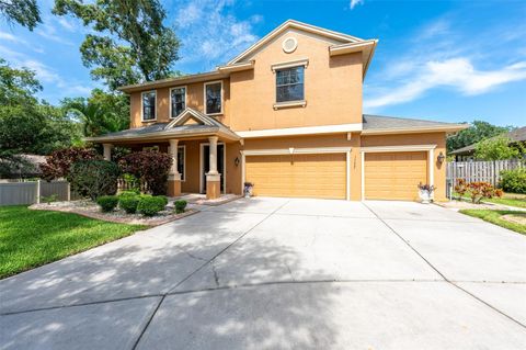 A home in TAMPA