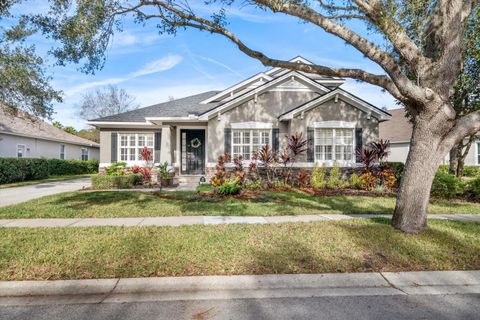 11911 MANDEVILLA COURT TAMPA FL 33626