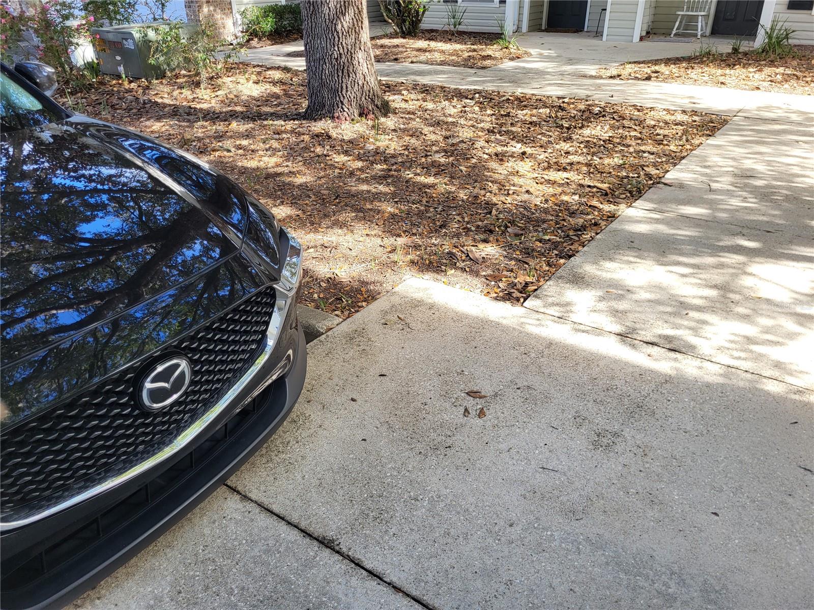 MAGNOLIA PLACE TWNHMS - Residential Lease