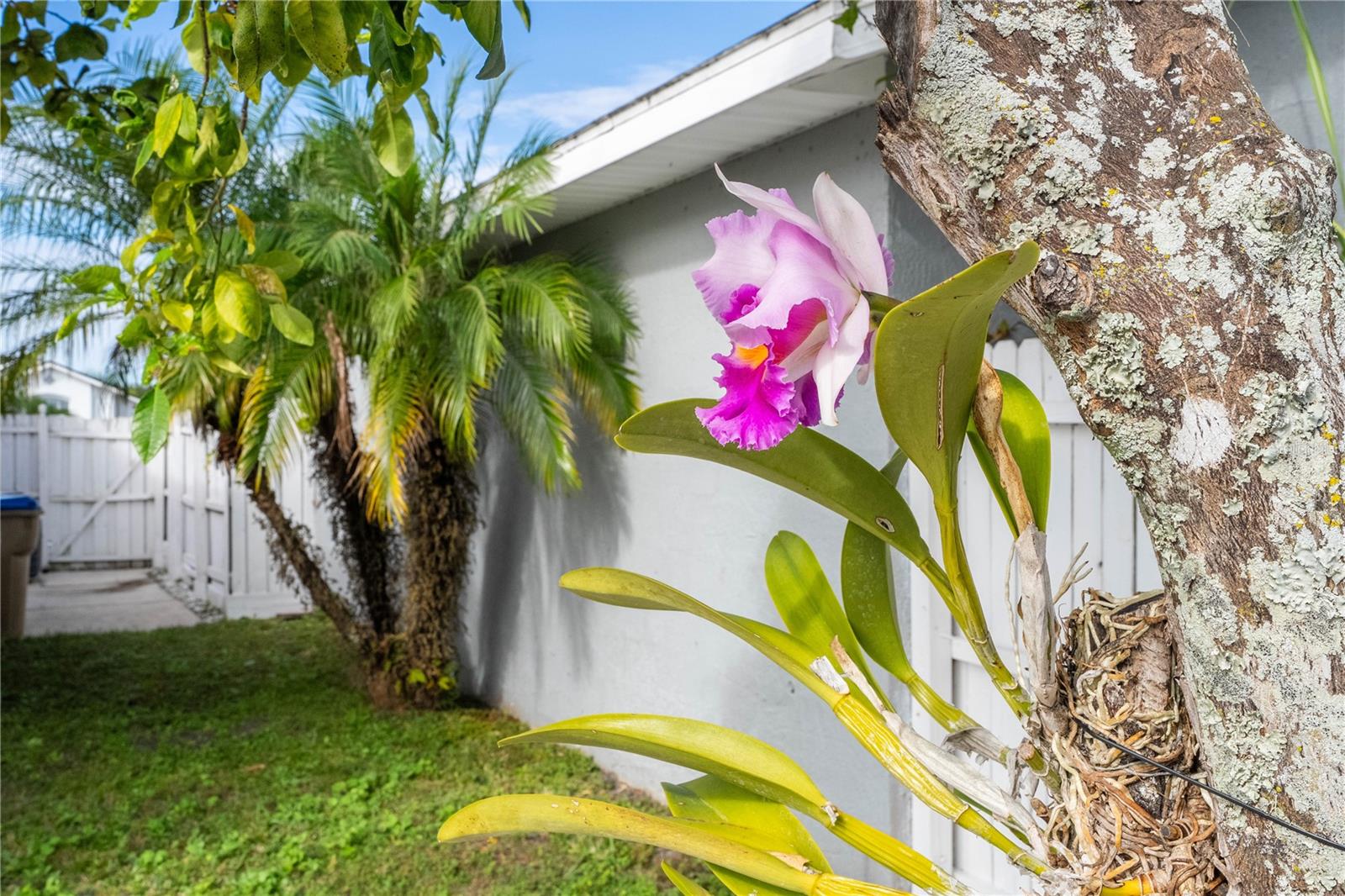 QUAIL RIDGE PH 01 - Residential