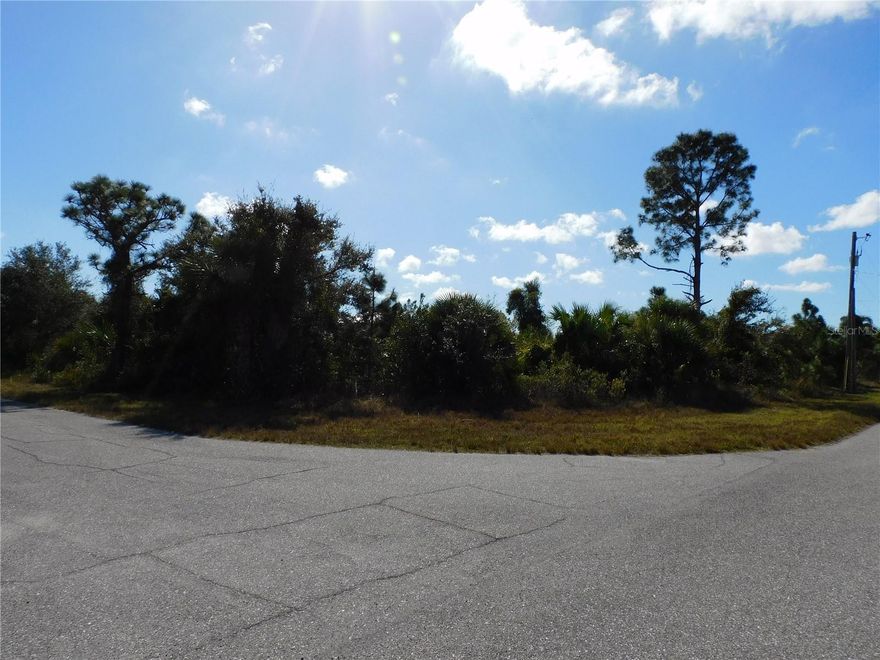 Single Corner Lot.  Electric Pole in easement between properties.  Adjacent double lot is also available