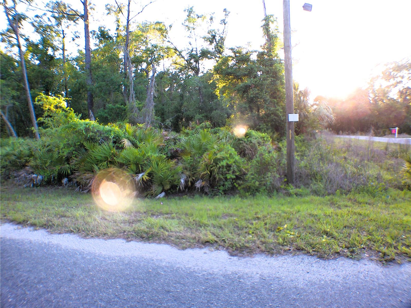 SILVER SPRINGS SHORES - Land