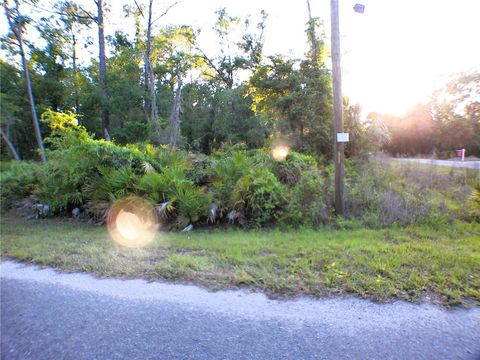 Tiny photo for Sequoia Drive, Ocklawaha, FL 32179 (MLS # OM724345)