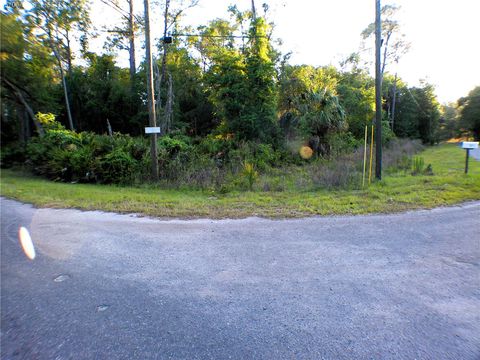 Photo of Sequoia Drive, Ocklawaha, FL 32179 (MLS # OM724345)