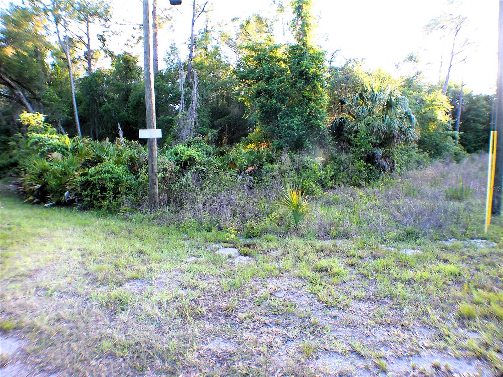SILVER SPRINGS SHORES - Land