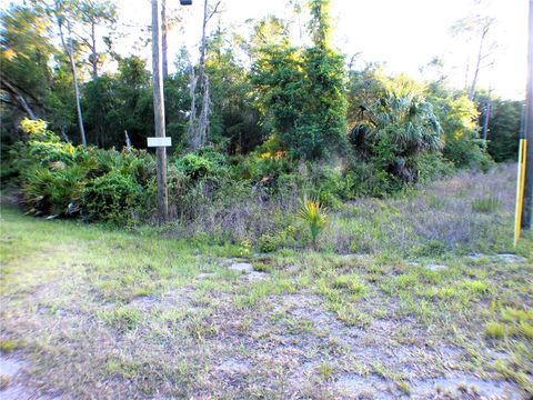 Tiny photo for Sequoia Drive, Ocklawaha, FL 32179 (MLS # OM724345)
