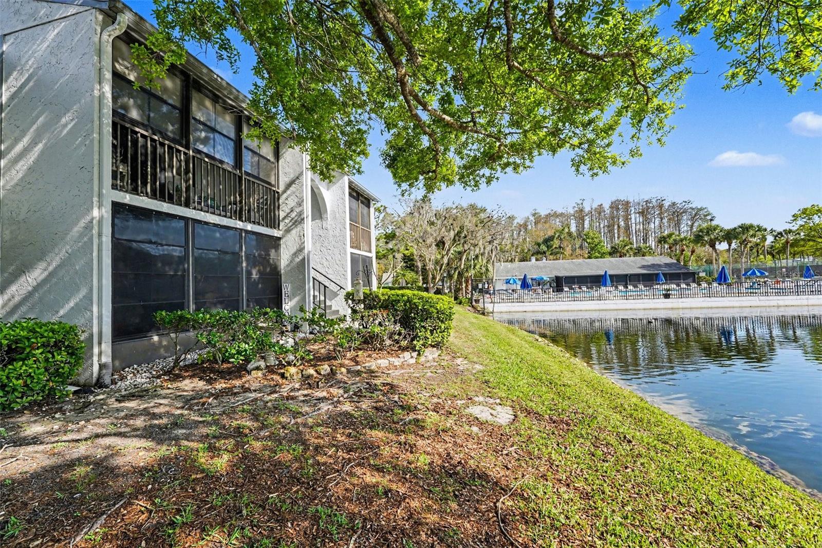 PINE RIDGE AT LAKE TARPON VILLAGE - Residential