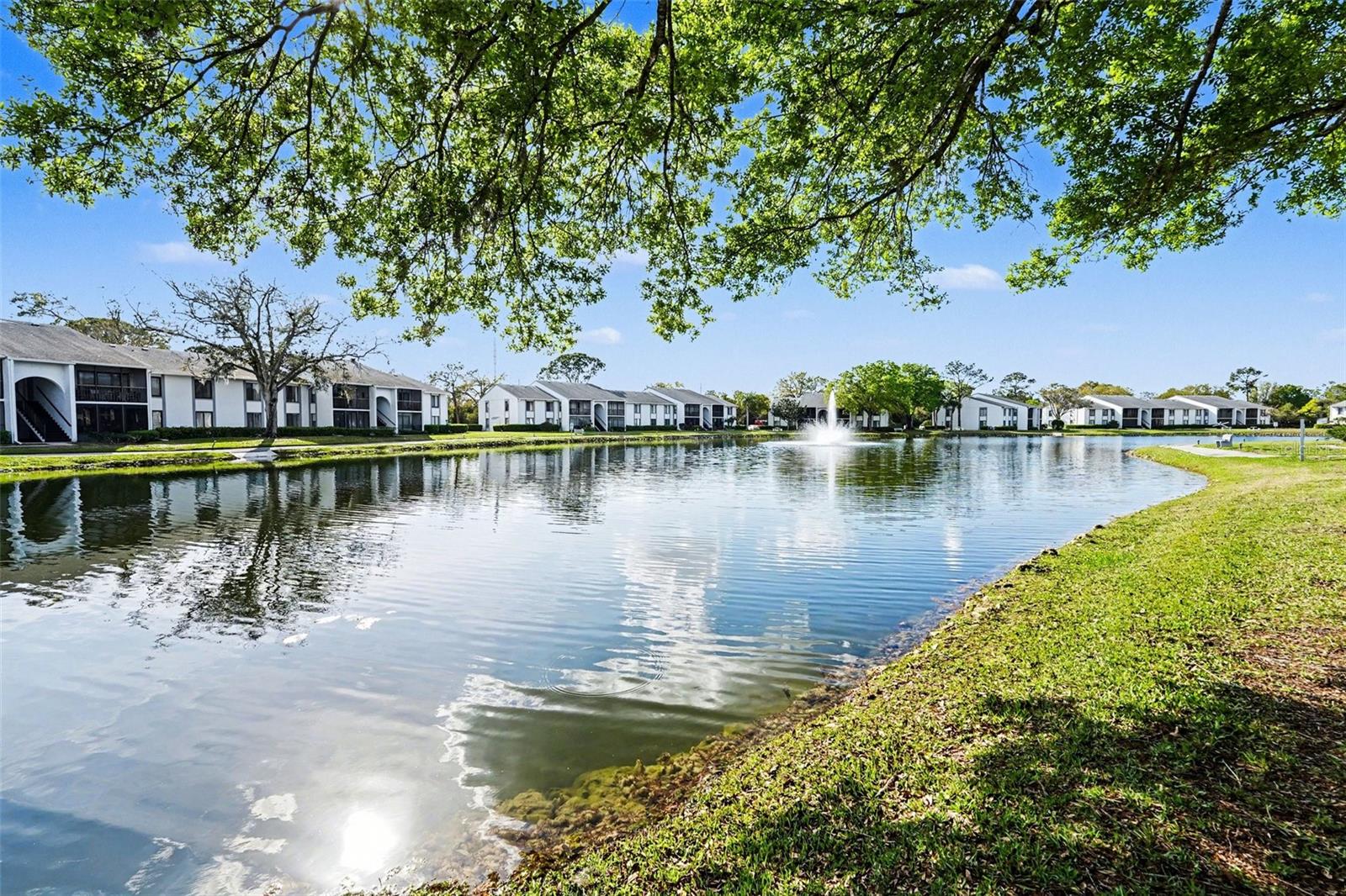 PINE RIDGE AT LAKE TARPON VILLAGE - Residential