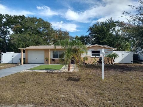 Photo of 12910 College Hill Drive, Hudson, FL 34667 (MLS # W7877864)