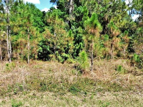 BIGNAY ROAD NORTH PORT FL 34288