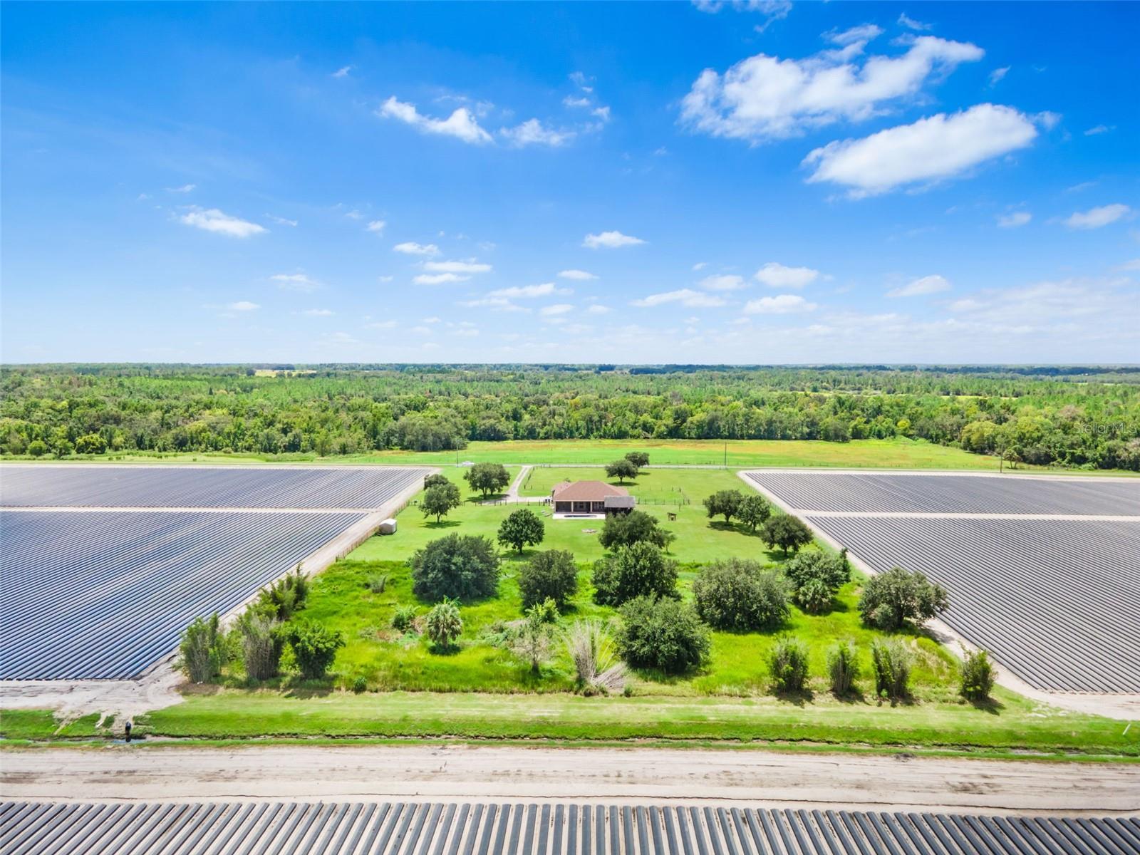 HALLS BRANCH ESTATES - Residential