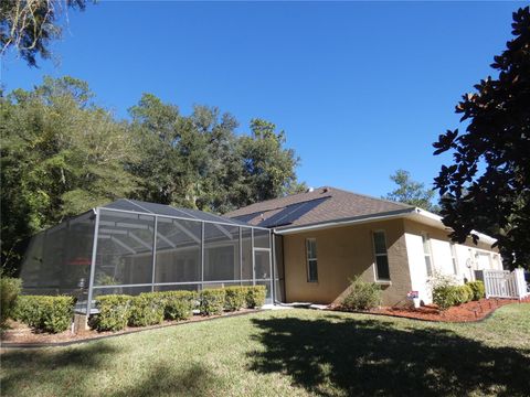 A home in CITRUS SPRINGS