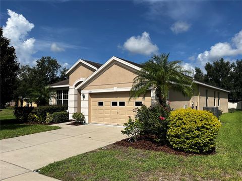 A home in LITHIA