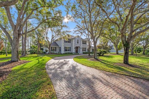 4121 HIGHLAND PARK CIRCLE LUTZ FL 33558