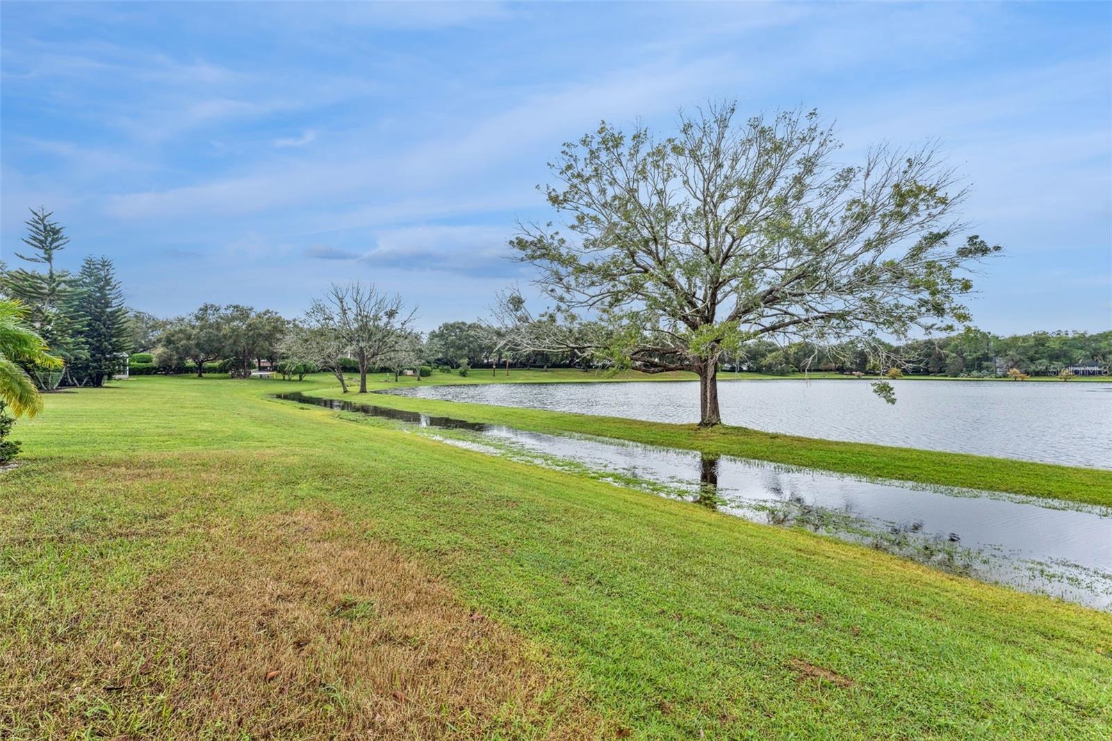 CARRINGTON PARK - Residential