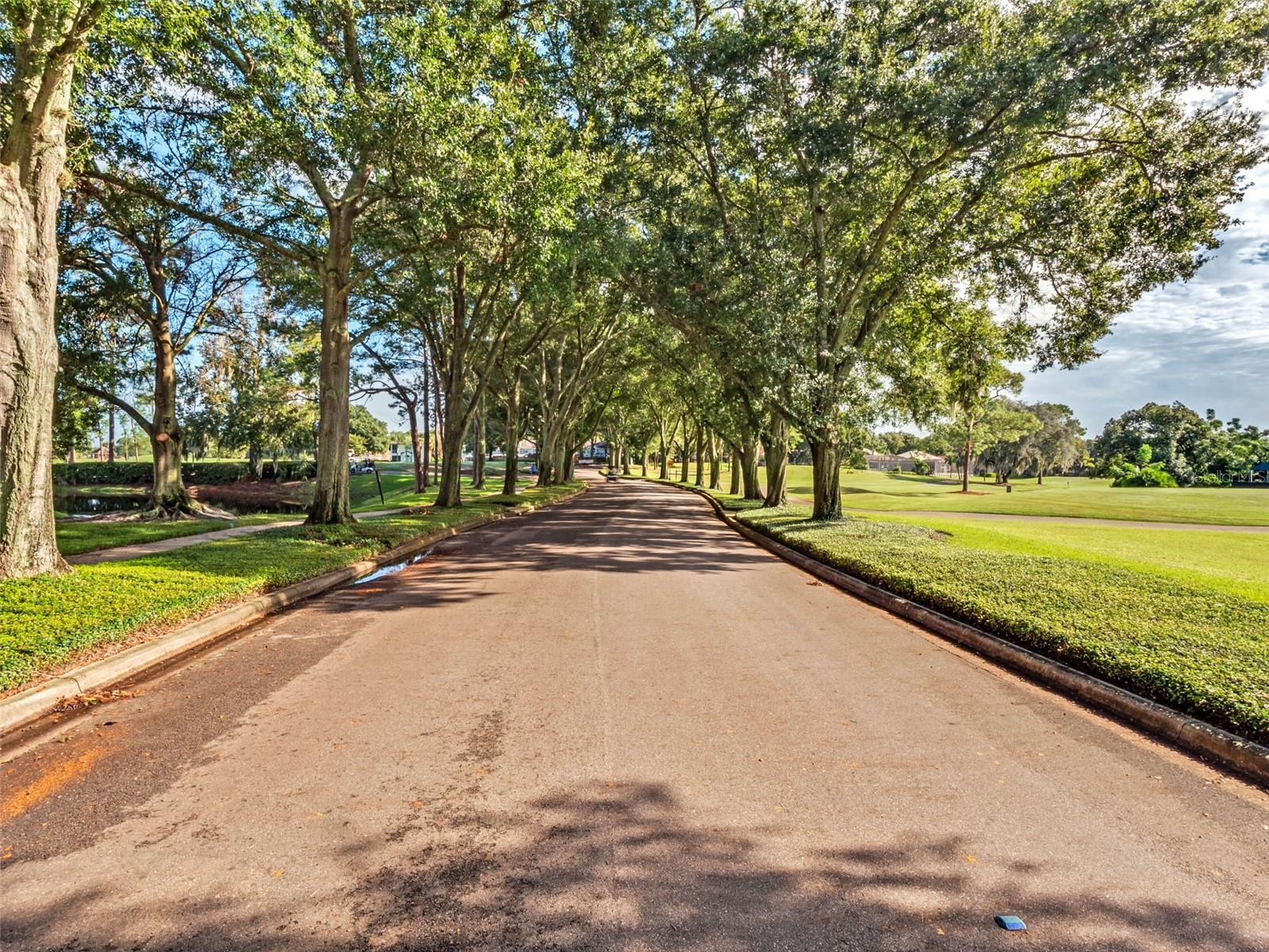 CARRINGTON PARK - Residential