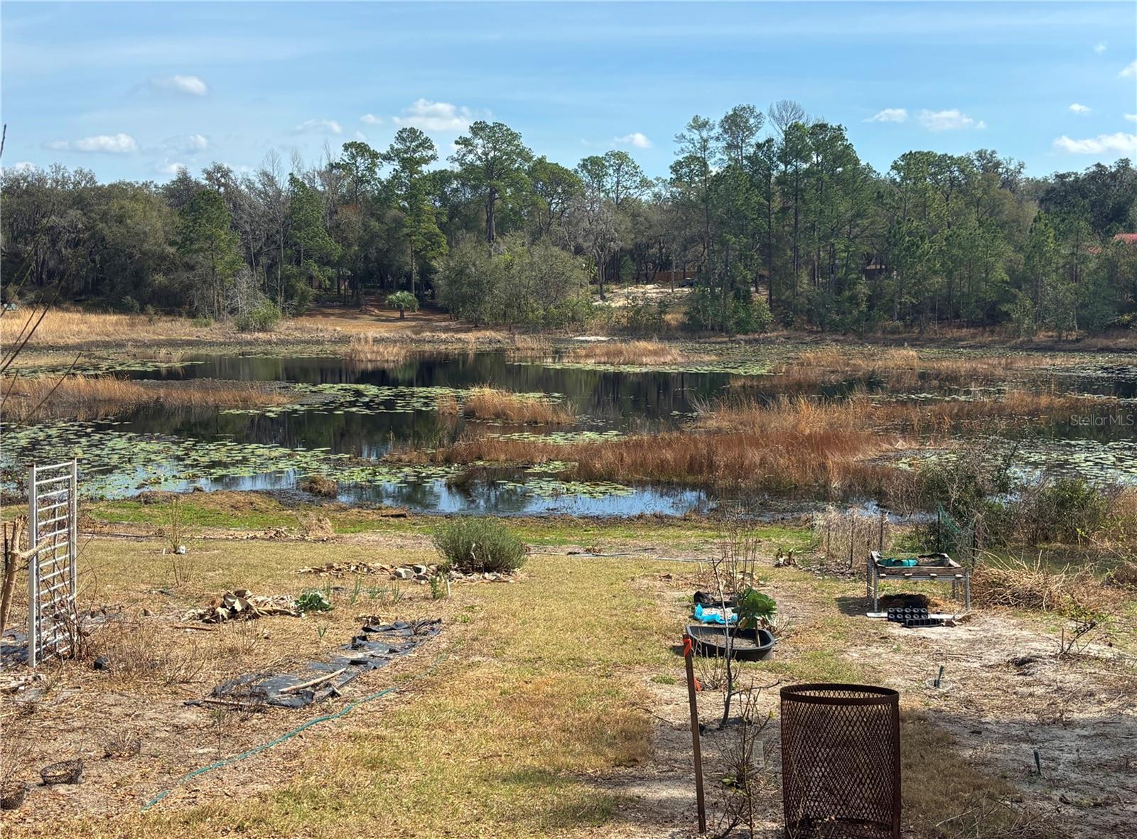 WOODS & LAKES - Residential