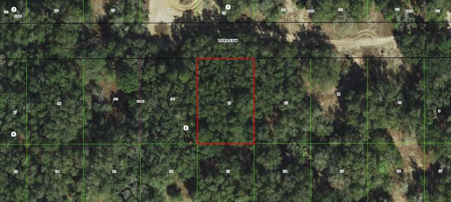 Investor Opportunity in Inverness Acres! Secure a strong foothold in one of Florida’s fastest-growing markets. Nine buildable lots are available in Inverness Acres—priced at $17,000 each or offered as a discounted package at $125,000. Citrus County is seeing record housing demand, making this an attractive play for long-term appreciation or future development. Inverness offers an ideal mix of affordability, lifestyle appeal, and strategic location, with easy access to Ocala, Tampa, and Orlando. Opportunities at this price point in Florida are becoming increasingly rare—act now.
